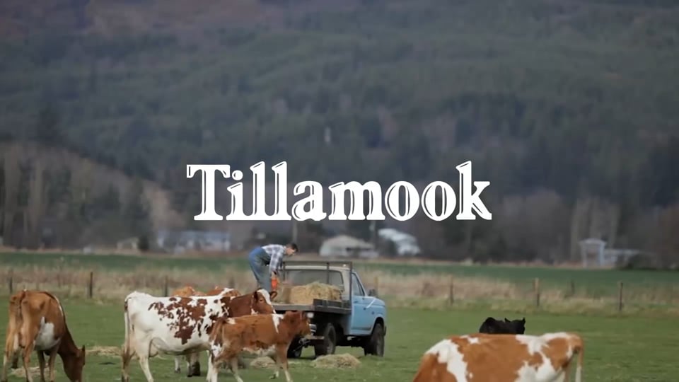 Tillamook: Brand Transformation Case Study