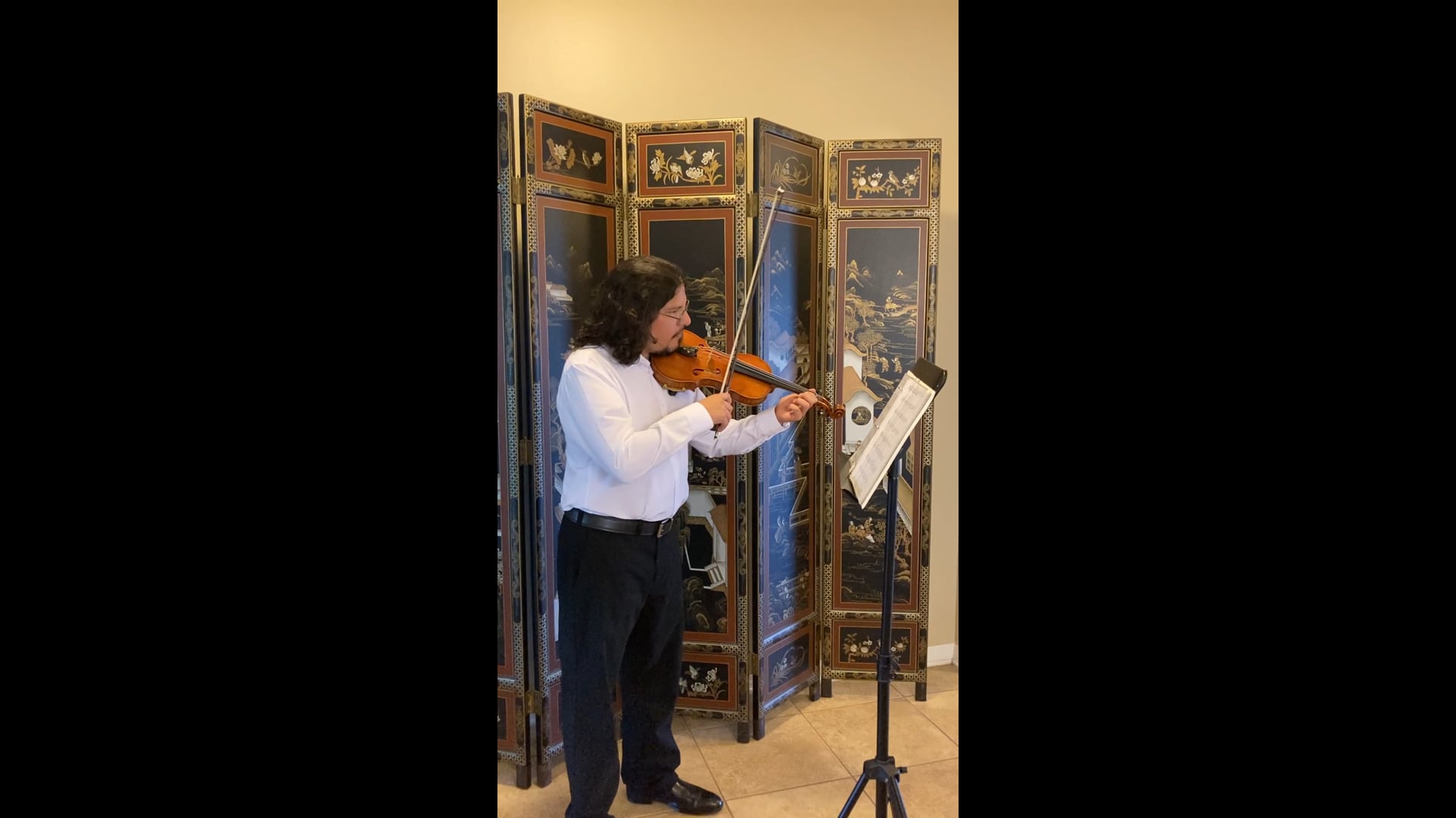 Promotional video thumbnail 1 for Any Occasion Violin