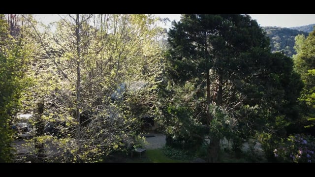 Lavender Hue B&B and Tea Rooms