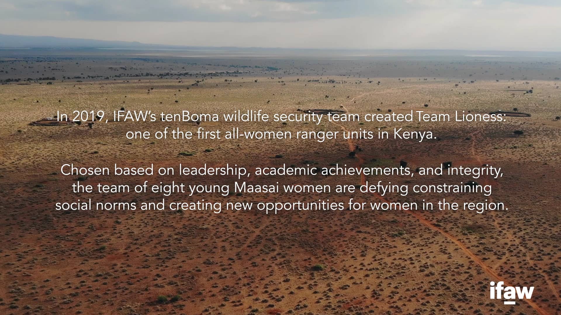 Team Lioness