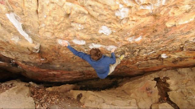 Honeycomb 7c+ Dayton