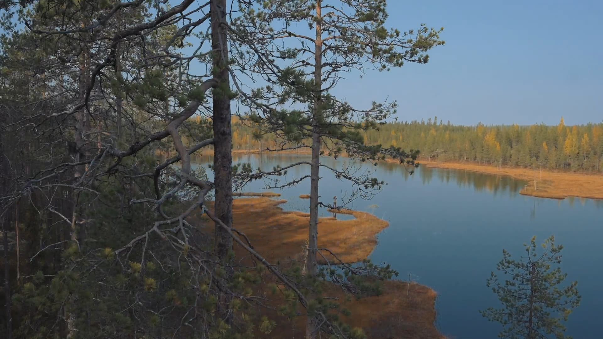 Shooting Wildlife with Konsta Punkka
