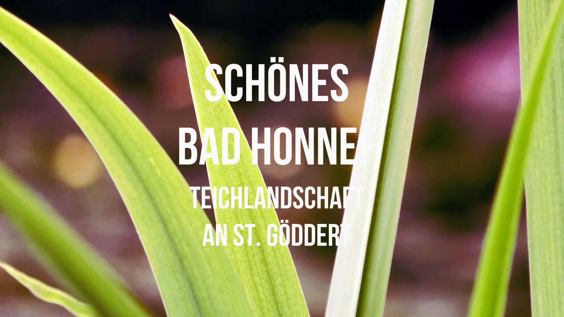 Schönes Bad Honnef Teiche An St. Göddert on Vimeo