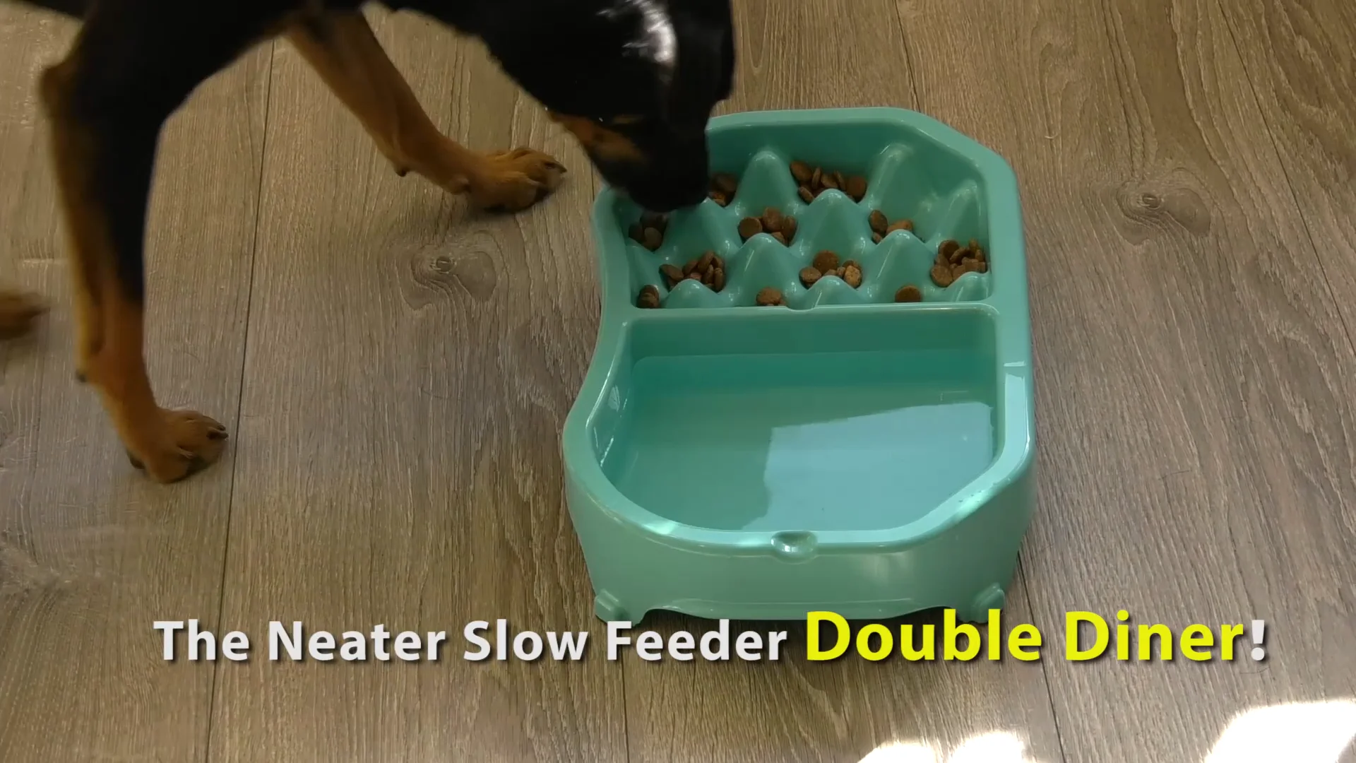 Neater Slow Feeder Double Diner Water and Food Bowl