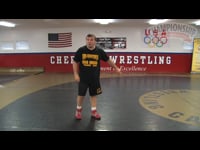Preview Video #1