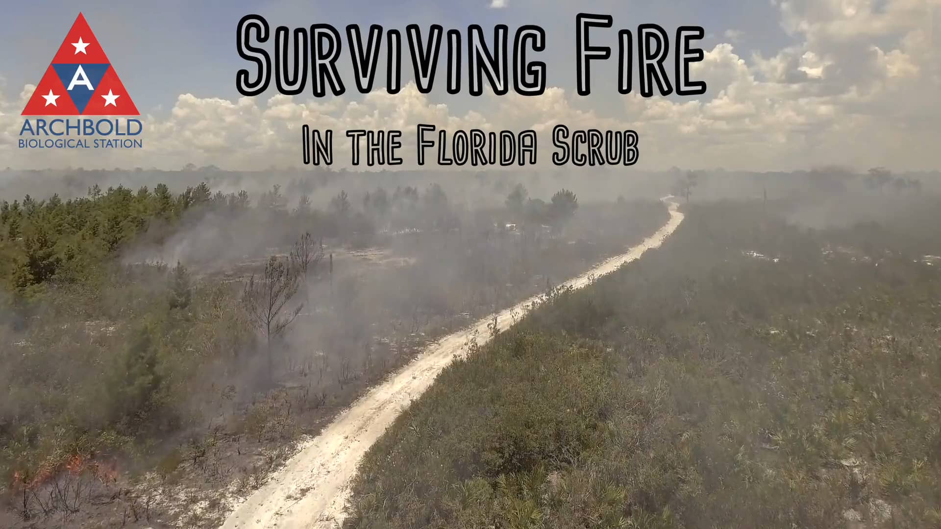 Surviving Fire In the Florida Scrub on Vimeo