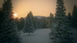 VRay