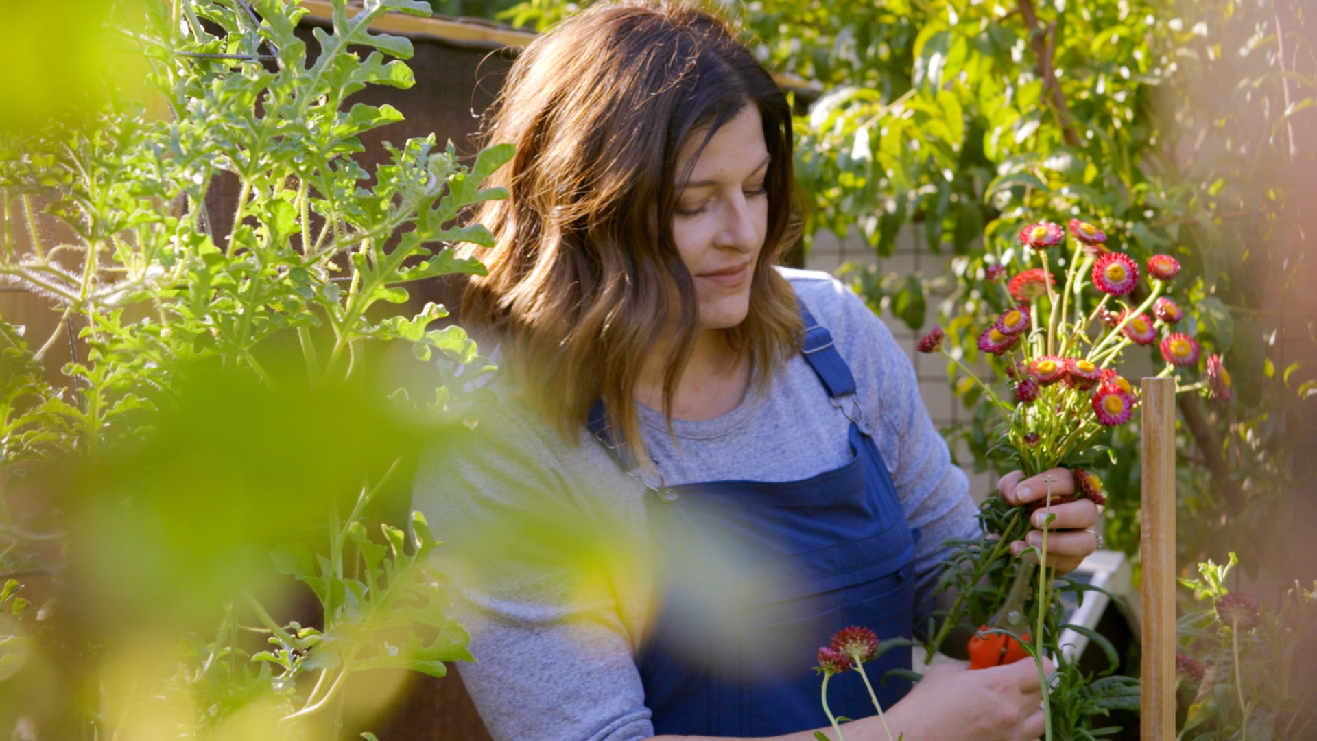 Growing in the Garden Patreon Video