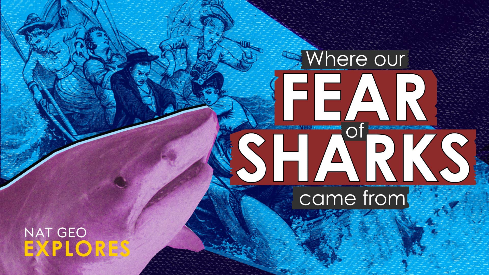 Where Our Fear of Sharks Came From