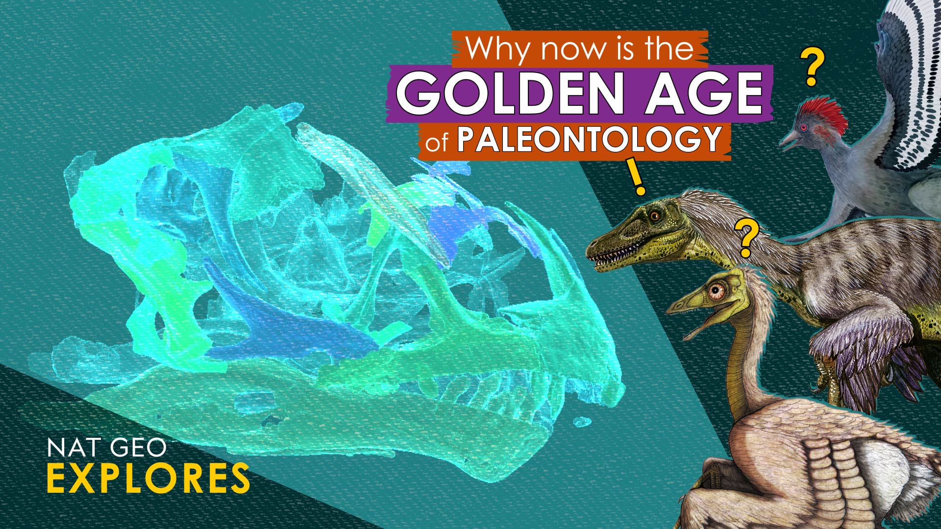 Why no is the Golden Age of Paleontology