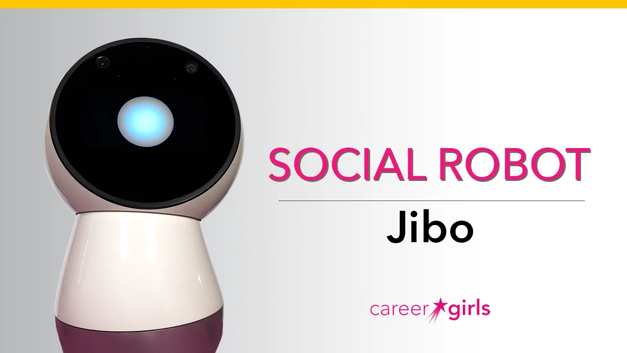 Jibo store social robot