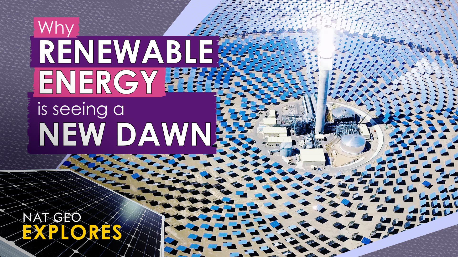 Why Renewable Energy is Seeing a New Dawn