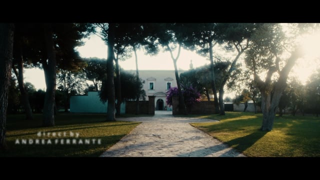TIMELESS by Lumièreve