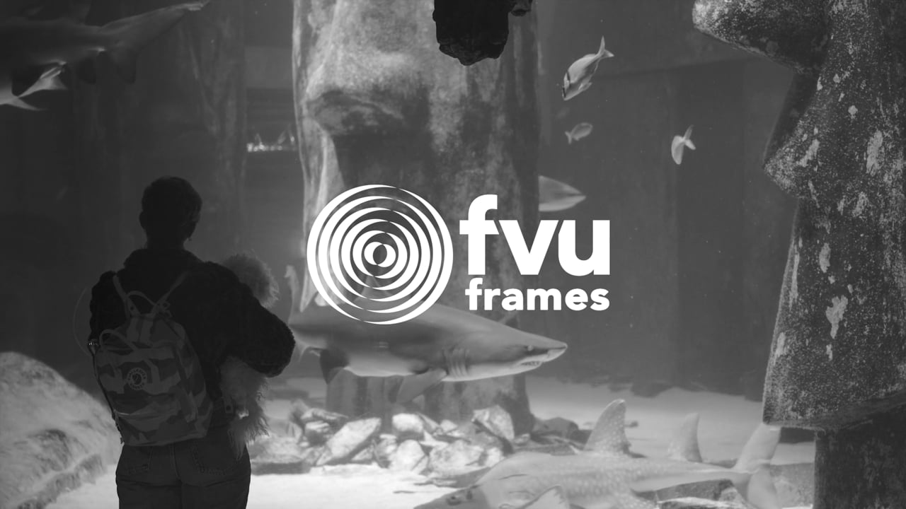 FVU Frames: Patrick Goddard, 'Animal Antics' (2021)