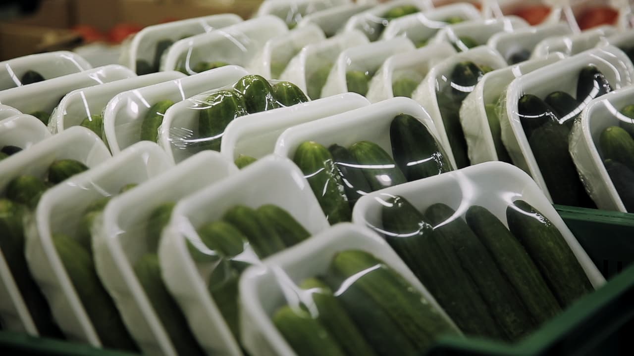 The Fight Against Plastic
