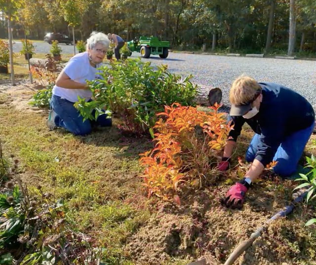 Volunteers