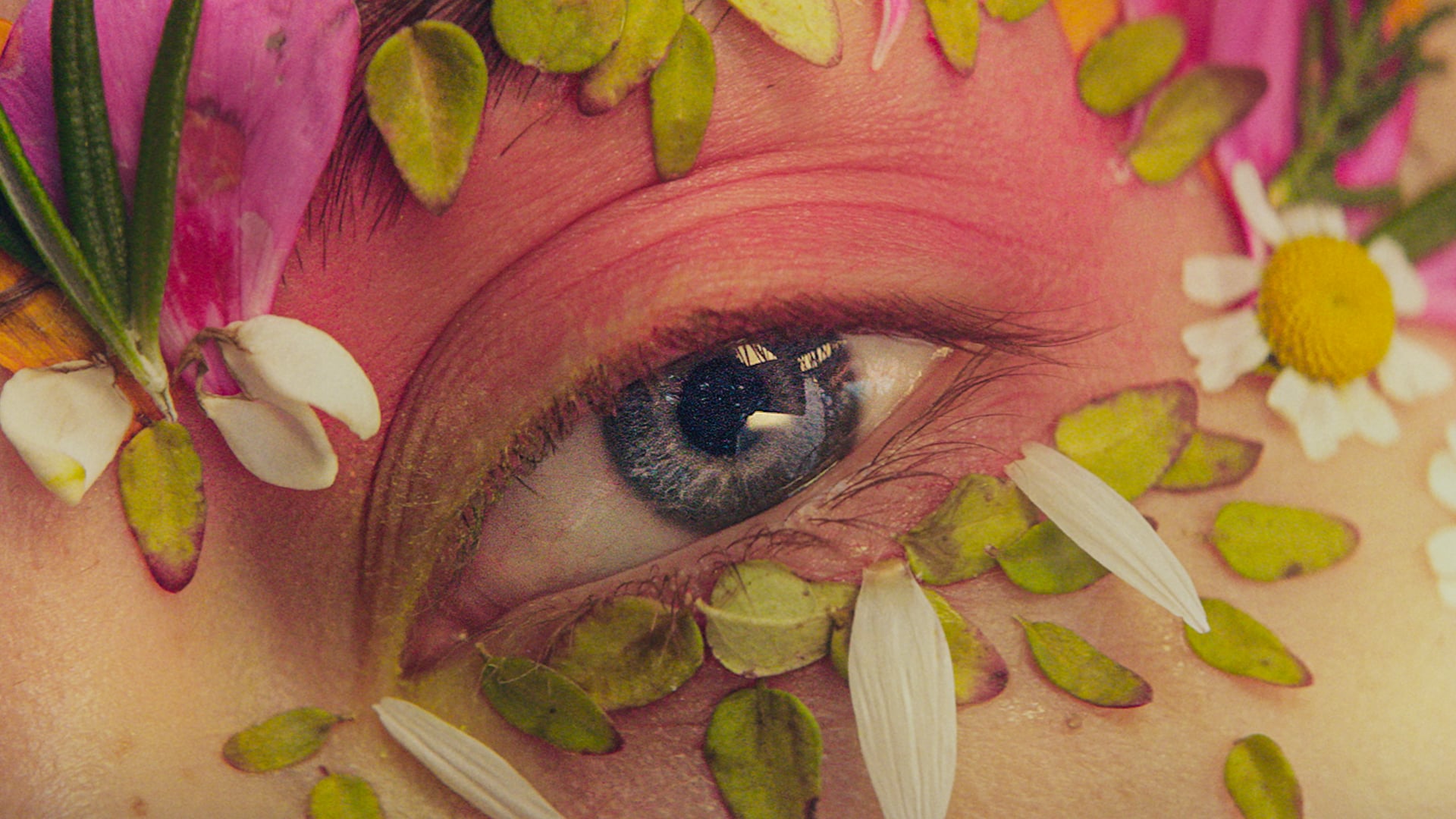 L'Occitane | Director's Cut