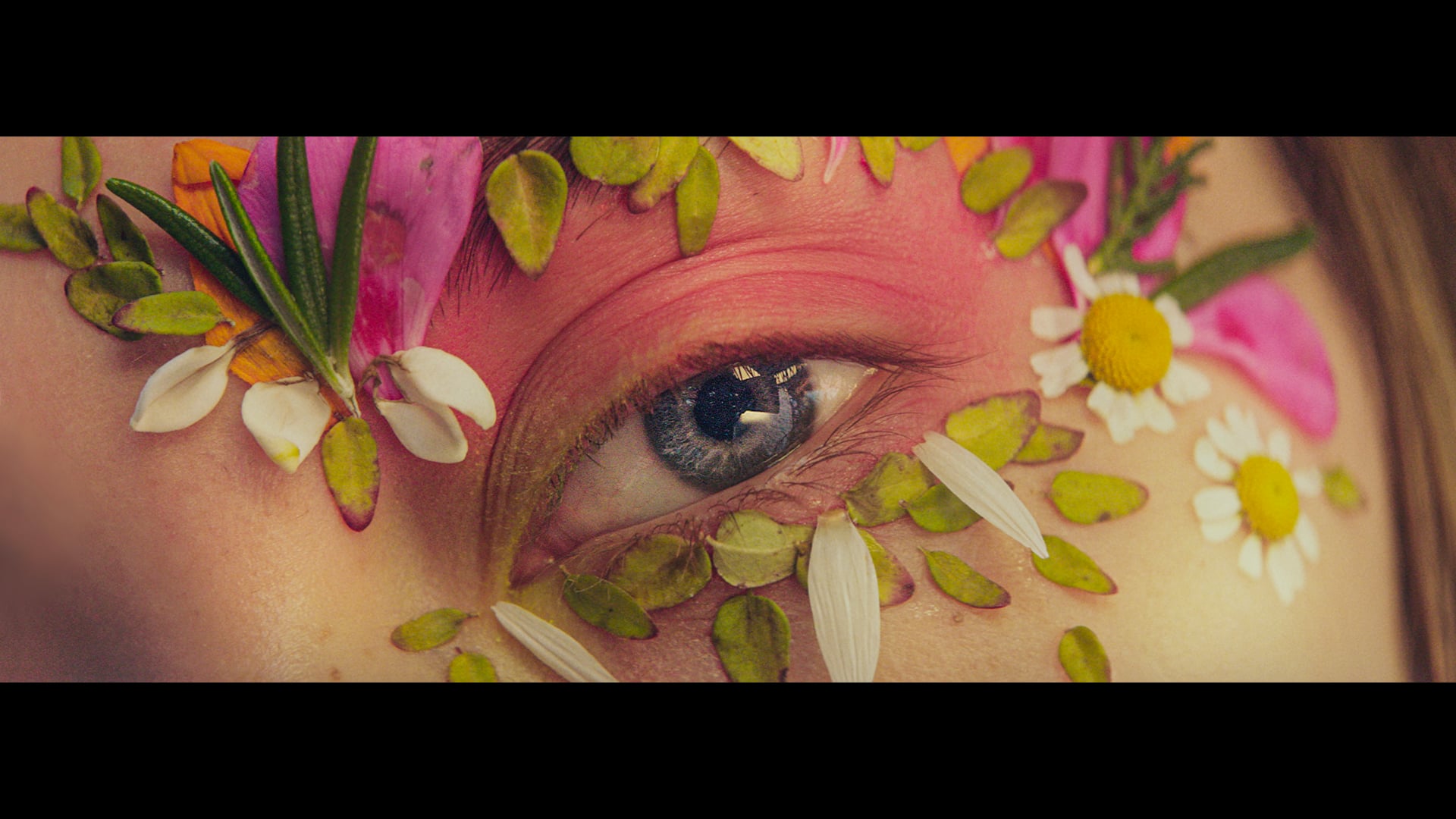 L'Occitane | Director's Cut