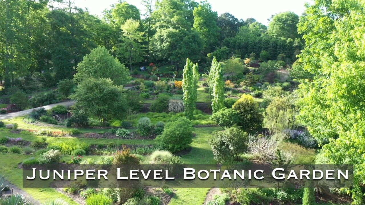 Juniper Level Botanic Garden Summer