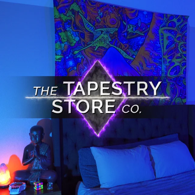 Tapestry 2024 store co