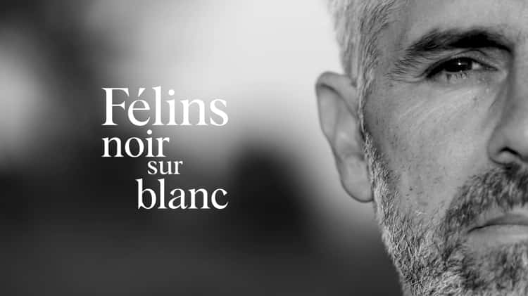 F lins Noir sur Blanc Official Trailer