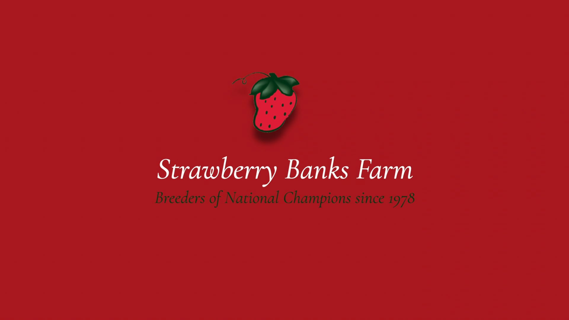 Strawberry Banks Farm SHORT