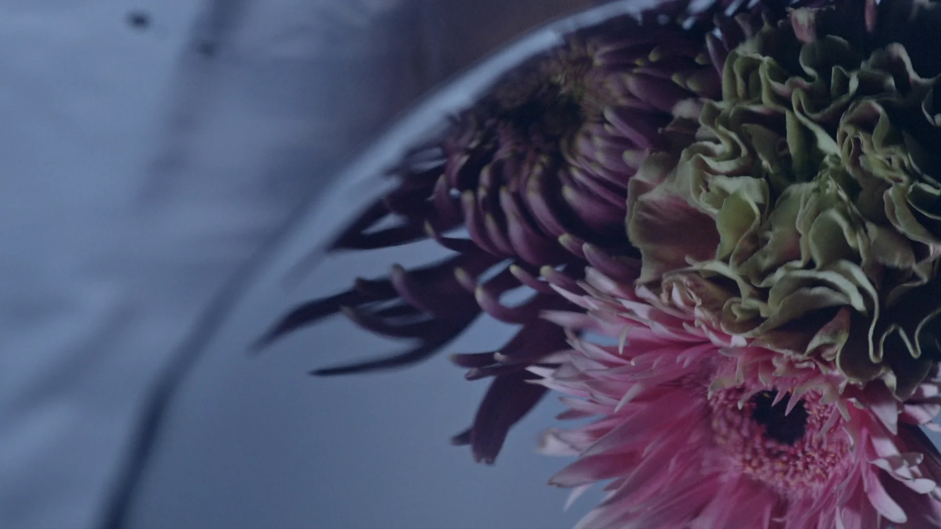 Louis Vuitton Horizon Soft On Vimeo