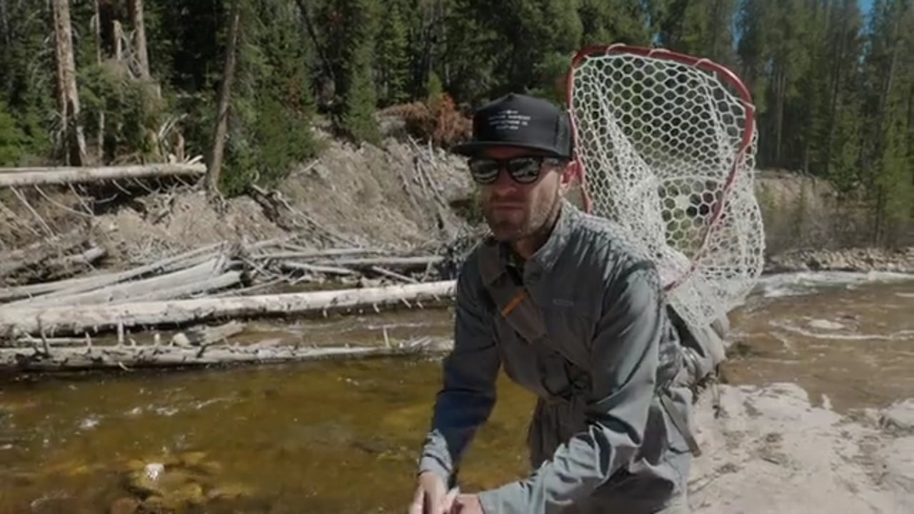 Wolfgang_Fishing_Kevin_v3.mp4
