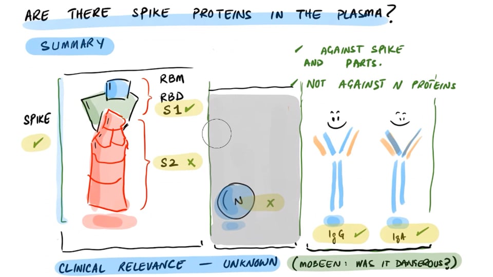 A Study - Spike Proteins in Plasma of Vaccinated (Nothing After The Second Dose)