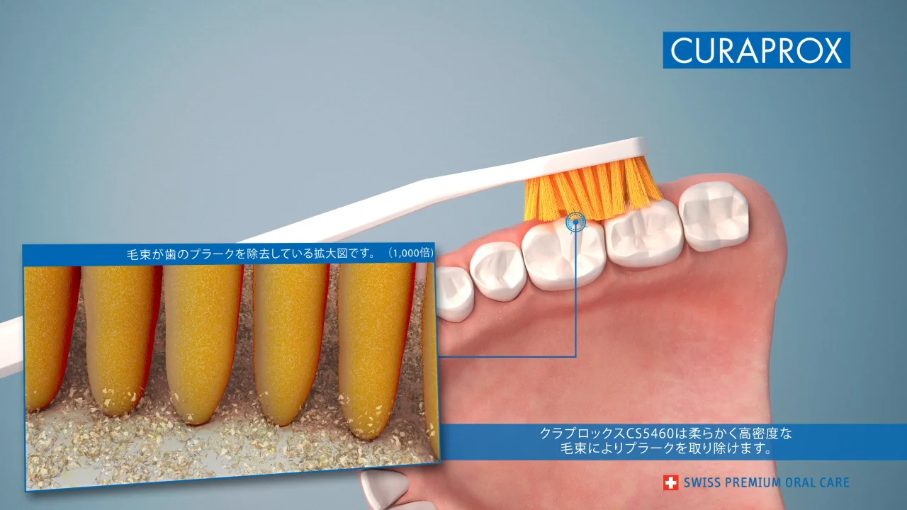 CURAPROX(クラプロックス) 歯ブラシ | 商品詳細 | 株式会社ヨシダ CURAPROX(クラプロックス) 歯ブラシ | 商品詳細 | 株式会社ヨシダ
