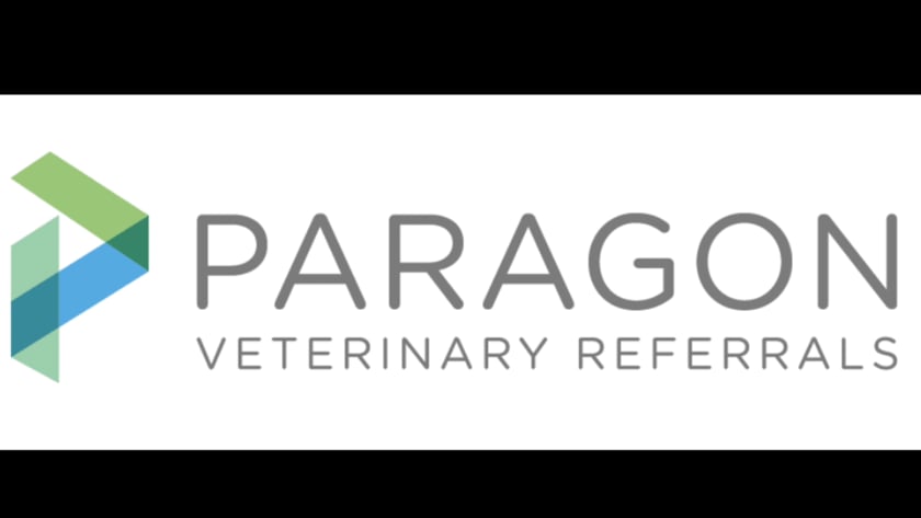 vimeo-video-thumbnail