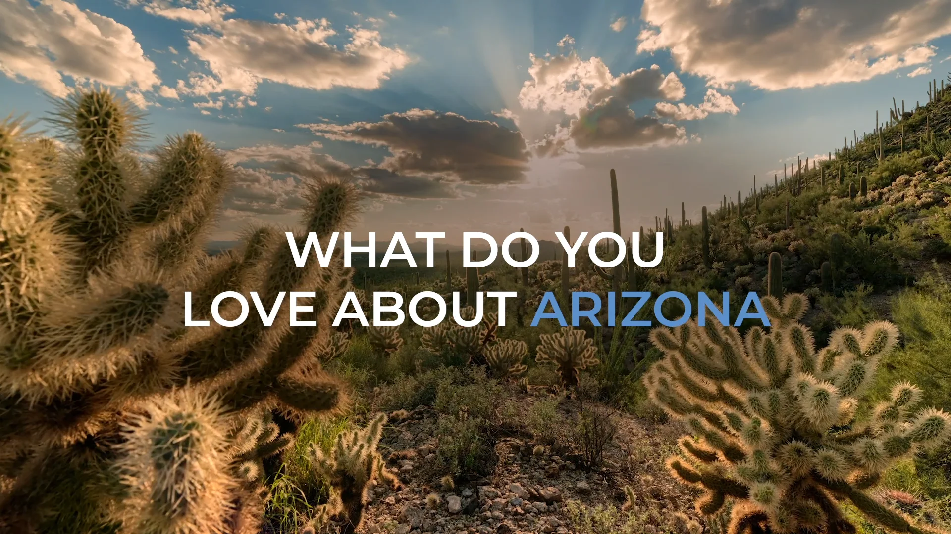 What Do You Love About Arizona