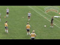 Preview Video #1