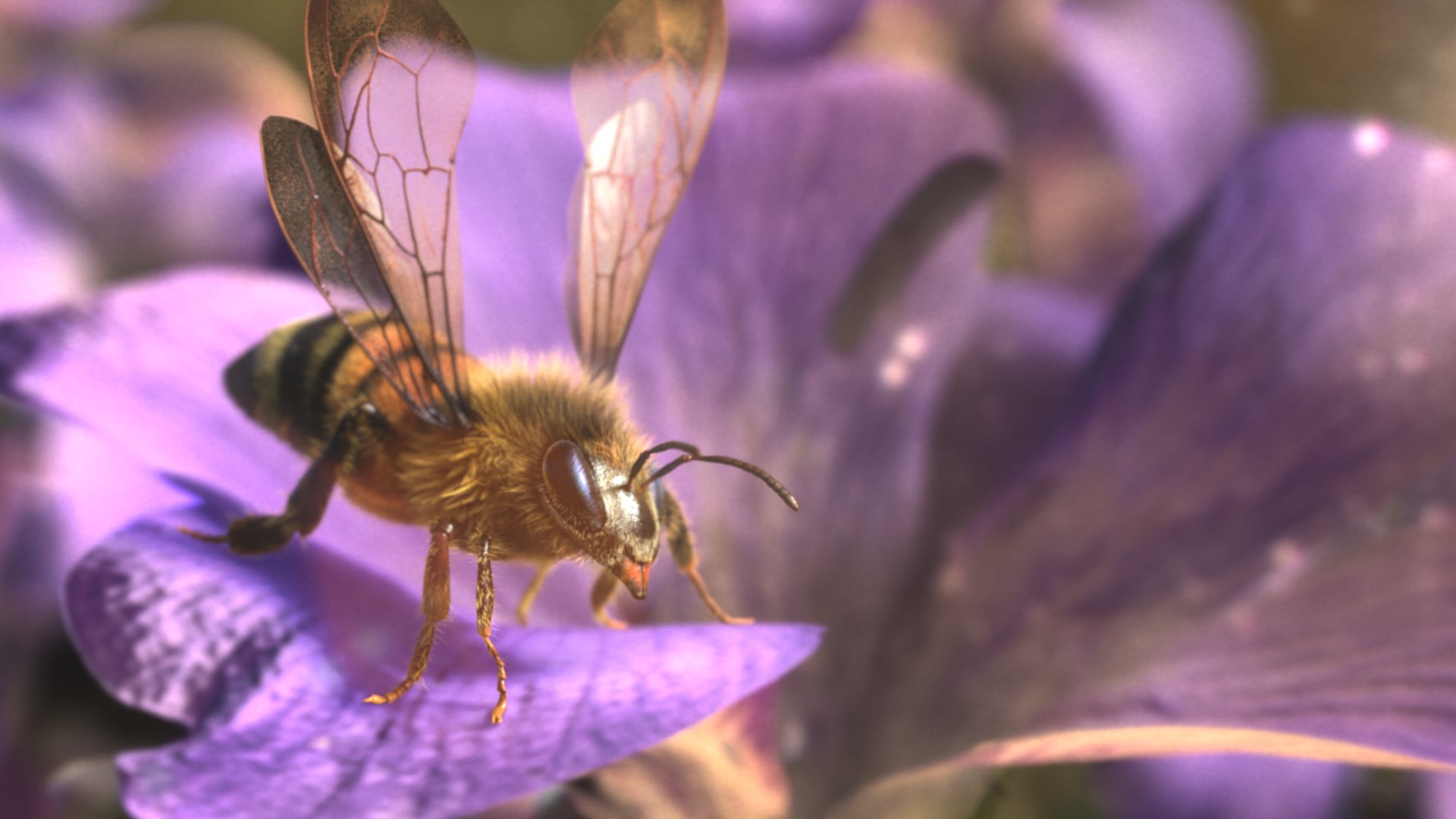 I Suoni Delle Dolomiti - Bee