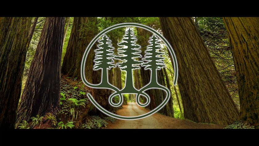 vimeo-video-thumbnail