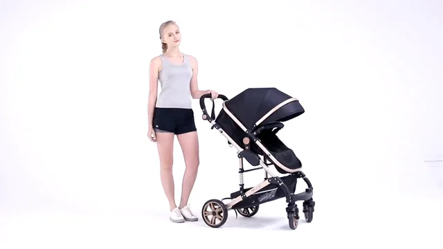 Luxury 3-in-1 Baby Travel System – Homewarehaus