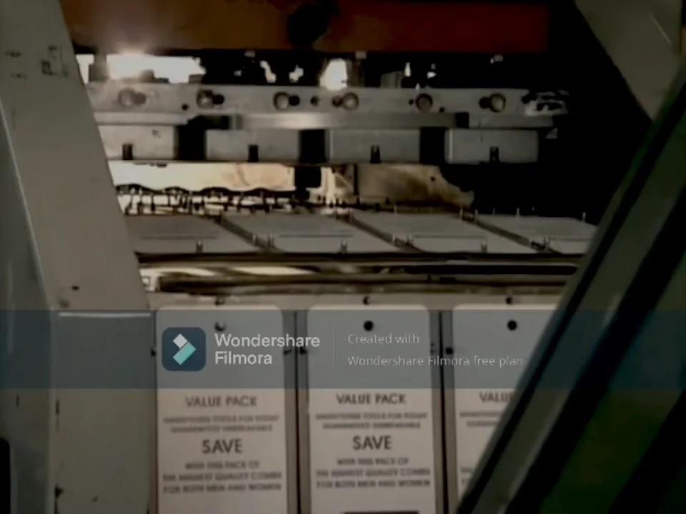 Mister Rogers Neighborhood Episode 1745 Ending Credits on Vimeo