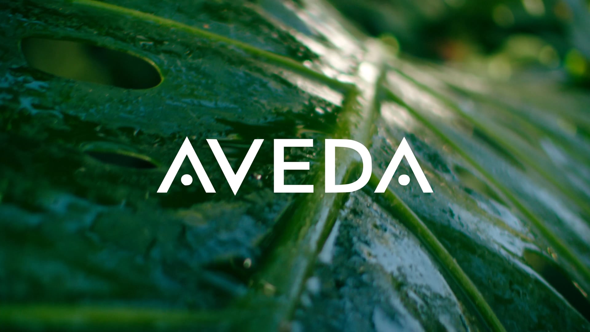 Aveda Campaign