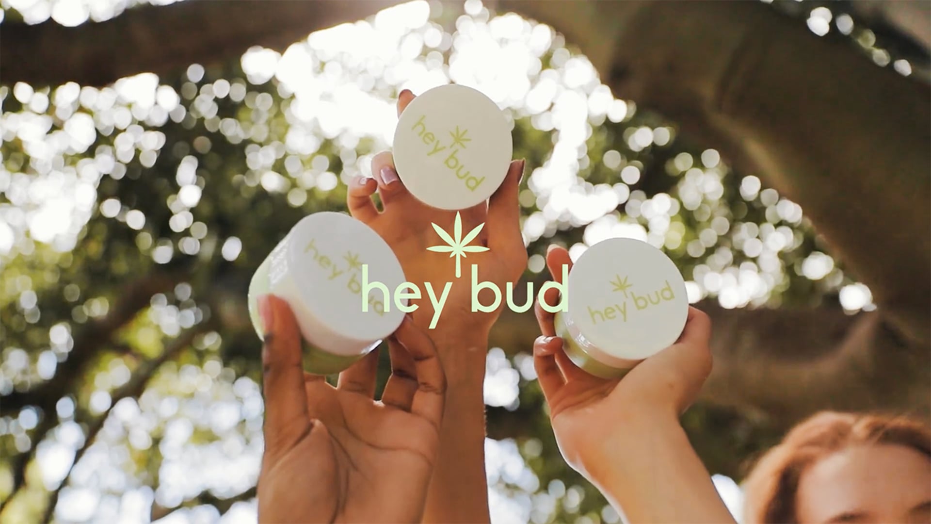 Hey Bud Skin Commercial