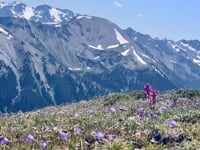 Endless Beauty - July 18 Song Bath Sanctuary