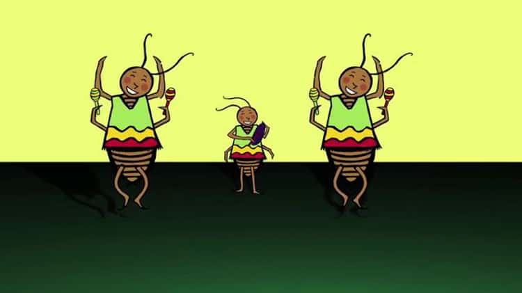 La Cucaracha on Vimeo