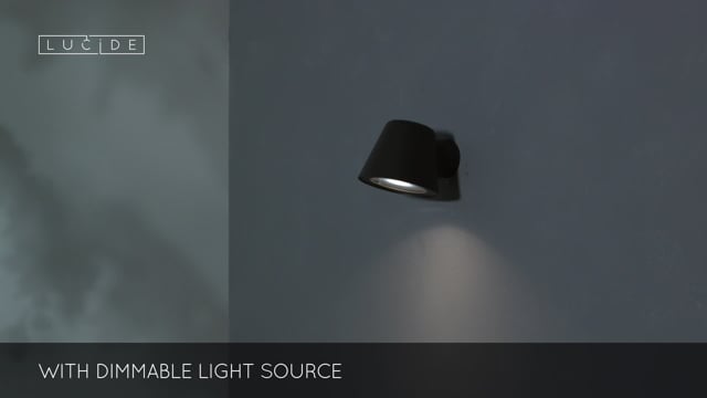 Настінний світильник Lucide DINGO-LED 14881/05/30