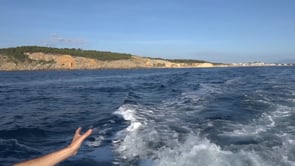 FanCat, un mapa GPS per protegir els alguers dels ancoratges