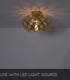 Video Wolfram Modern Flush Ceiling Light - Ø 30cm - 1xE27 - Matt Gold