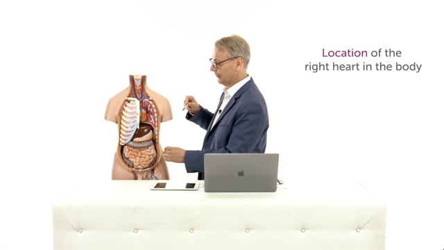 Where is the right heart located within the chest?