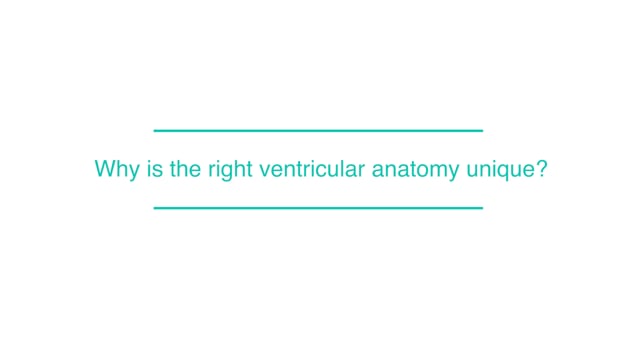 Why is the right ventricular anatomy unique?