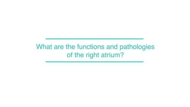 What are the functions and pathologies of the right atrium?