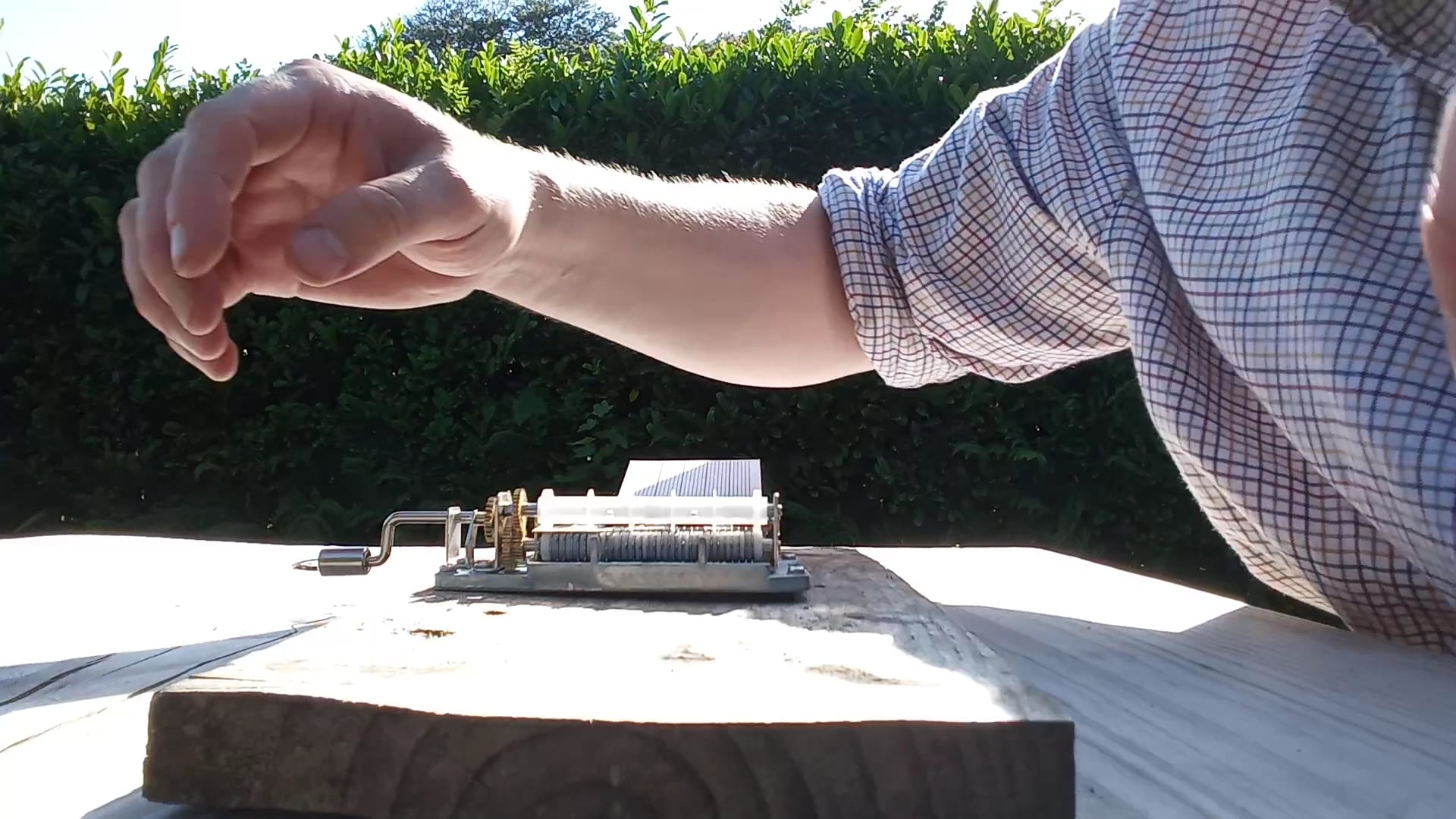 Musicbox Murmuration 1 - The First Starling