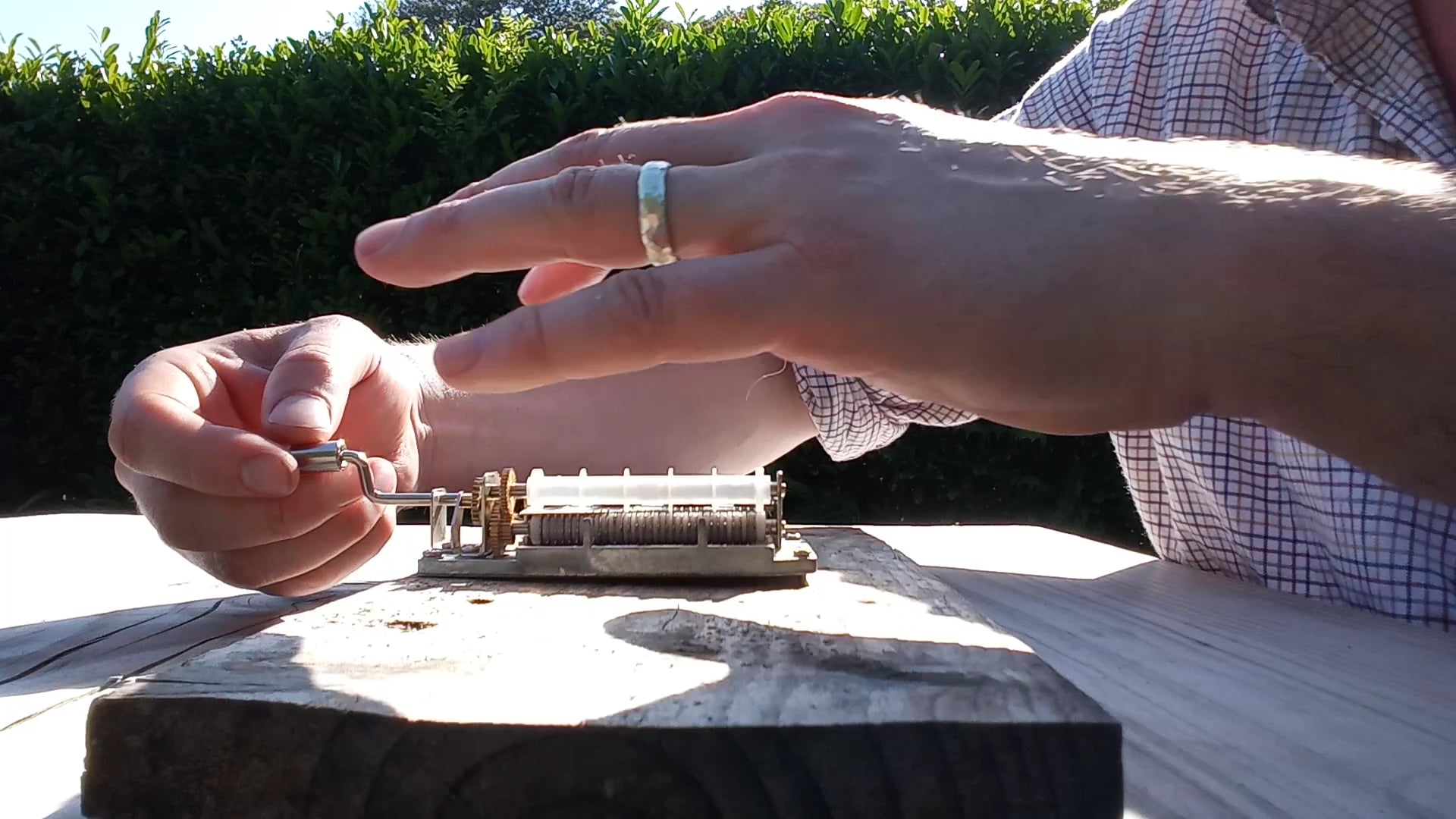 Musicbox Murmuration 2