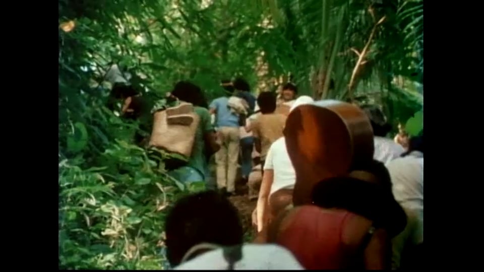 Turumba